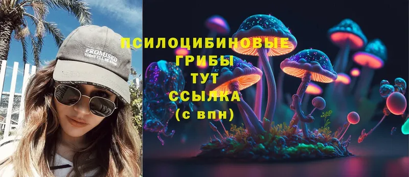 купить   Беломорск  Галлюциногенные грибы Psilocybine cubensis 